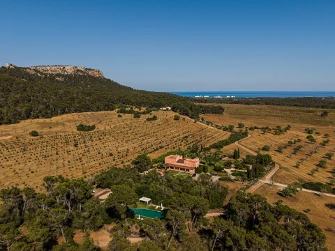 Villa